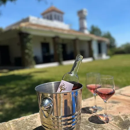 Villa La Imaroga - Country With Private Pool - Lual